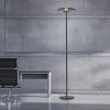 Paul Neuhaus Vitrum Golvlampa LED Grått, 2-ljuskällor