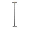 Paul Neuhaus Vitrum Golvlampa LED Grått, 2-ljuskällor