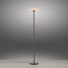 Paul Neuhaus Vitrum Golvlampa LED Brun, 2-ljuskällor