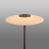 Paul Neuhaus Vitrum Golvlampa LED Brun, 2-ljuskällor