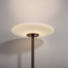 Paul Neuhaus Vitrum Golvlampa LED Brun, 2-ljuskällor