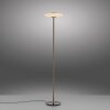 Paul Neuhaus Vitrum Golvlampa LED Brun, 2-ljuskällor