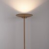 Paul Neuhaus Lampor Moon Golvlampa LED Brons, 2-ljuskällor