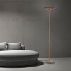 Paul Neuhaus Moon Golvlampa LED Brons, 2-ljuskällor