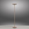 Paul Neuhaus Moon Golvlampa LED Brons, 2-ljuskällor