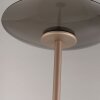 Paul Neuhaus Moon Golvlampa LED Brons, 2-ljuskällor