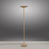 Paul Neuhaus Moon Golvlampa LED Brons, 2-ljuskällor