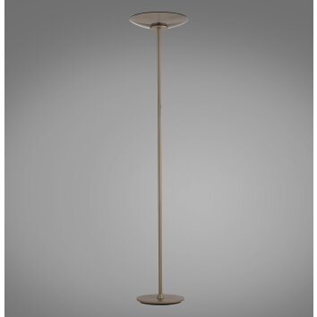 Paul Neuhaus Moon Golvlampa LED Brons, 2-ljuskällor