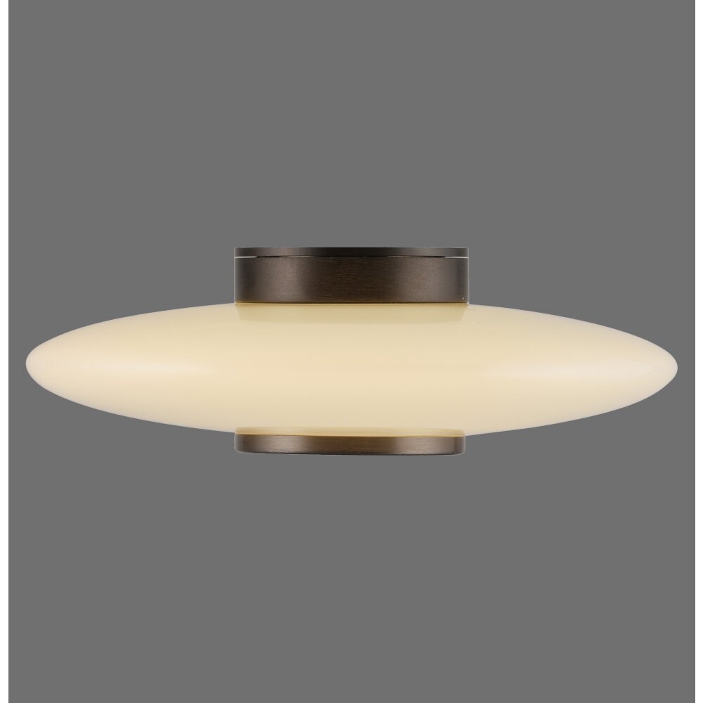 Paul Neuhaus Vitrum Vägg- och taklampor LED Brun, 1-ljuskällor main product photo