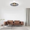 Paul Neuhaus Vitrum Taklampa LED Grått, 2-ljuskällor