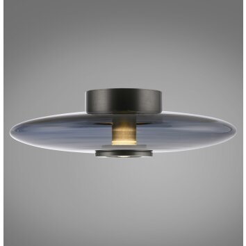 Paul Neuhaus Lampor Vitrum Taklampa LED Grått, 2-ljuskällor Paul Neuhaus Lampor Vitrum Taklampa LED Grått, 2-ljuskällor