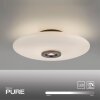 Paul Neuhaus Vitrum Taklampa LED Brun, 2-ljuskällor