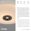 Paul Neuhaus Vitrum Taklampa LED Brun, 2-ljuskällor