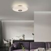 Paul Neuhaus Vitrum Taklampa LED Brun, 2-ljuskällor