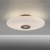 Paul Neuhaus Vitrum Taklampa LED Brun, 2-ljuskällor