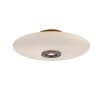 Paul Neuhaus Vitrum Taklampa LED Brun, 2-ljuskällor