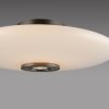 Paul Neuhaus Vitrum Taklampa LED Brun, 2-ljuskällor