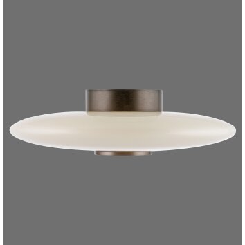 Paul Neuhaus Vitrum Taklampa LED Brun, 2-ljuskällor