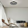 Paul Neuhaus Moon Taklampa LED Grått, 2-ljuskällor