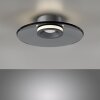 Paul Neuhaus Moon Taklampa LED Grått, 2-ljuskällor