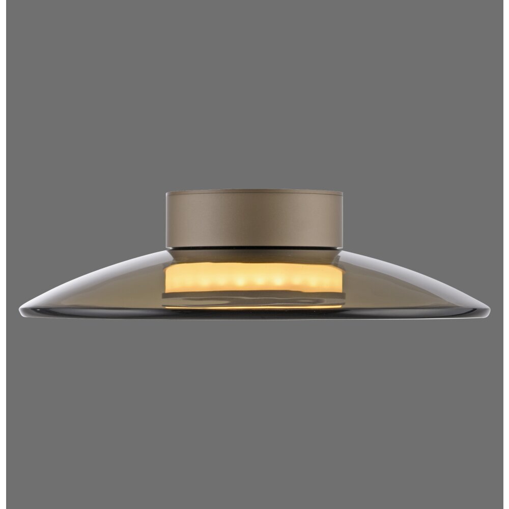 Paul Neuhaus Moon Taklampa LED Brons, 2-ljuskällor main product photo