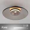 Paul Neuhaus Moon Taklampa LED Brons, 2-ljuskällor