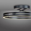 Paul Neuhaus Lampor Loop Taklampa LED Grått, 2-ljuskällor, Fjärrkontroll