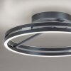 Paul Neuhaus Lampor Loop Taklampa LED Grått, 2-ljuskällor, Fjärrkontroll