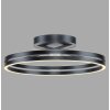 Paul Neuhaus Loop Taklampa LED Grått, 2-ljuskällor, Fjärrkontroll