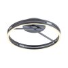 Paul Neuhaus Loop Taklampa LED Grått, 2-ljuskällor, Fjärrkontroll