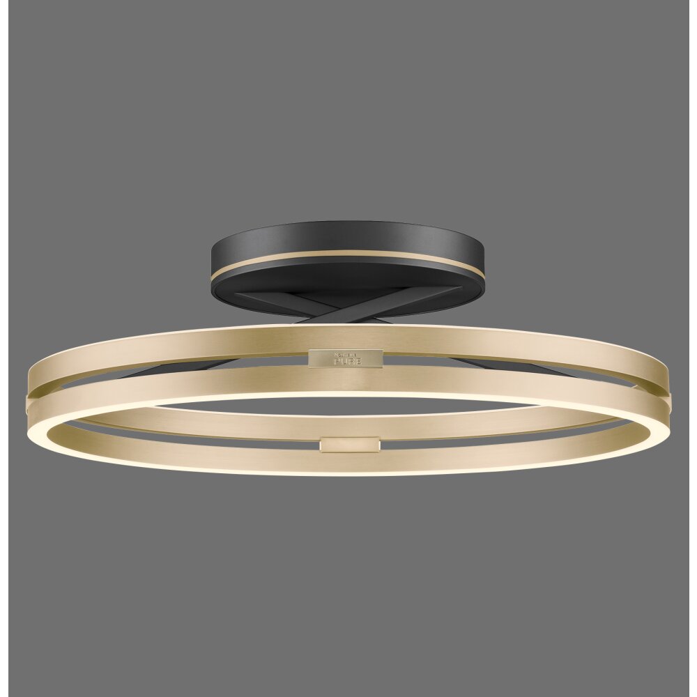 Paul Neuhaus Loop Taklampa LED Guld, Svart, 2-ljuskällor, Fjärrkontroll main product photo