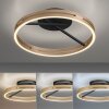 Paul Neuhaus Lampor Loop Taklampa LED Guld, Svart, 2-ljuskällor, Fjärrkontroll
