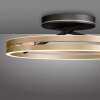 Paul Neuhaus Lampor Loop Taklampa LED Guld, Svart, 2-ljuskällor, Fjärrkontroll