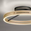 Paul Neuhaus Lampor Loop Taklampa LED Guld, Svart, 2-ljuskällor, Fjärrkontroll