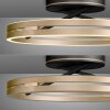 Paul Neuhaus Loop Taklampa LED Guld, Svart, 2-ljuskällor, Fjärrkontroll
