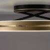 Paul Neuhaus Loop Taklampa LED Guld, Svart, 2-ljuskällor, Fjärrkontroll