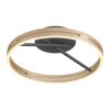 Paul Neuhaus Loop Taklampa LED Guld, Svart, 2-ljuskällor, Fjärrkontroll