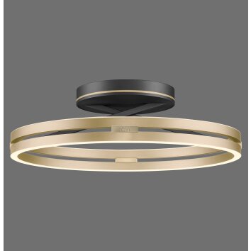 Paul Neuhaus Loop Taklampa LED Guld, Svart, 2-ljuskällor, Fjärrkontroll