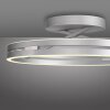 Paul Neuhaus Loop Taklampa LED Silver, 2-ljuskällor, Fjärrkontroll