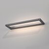 Paul Neuhaus Lampor Puro Vägglampa LED Grått, 1-ljuskällor