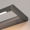 Paul Neuhaus Lampor Puro Vägglampa LED Grått, 1-ljuskällor