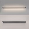 Paul Neuhaus Lampor Puro Vägglampa LED Grått, 1-ljuskällor