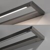 Paul Neuhaus Lampor Puro Vägglampa LED Grått, 1-ljuskällor