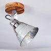 Berkeley Taklampa, Takstrålkastare Mörkbrun, Galvaniserad, 1-ljuskällor