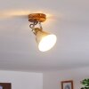 Berkeley Taklampa, Takstrålkastare Mörkbrun, Galvaniserad, 1-ljuskällor