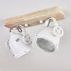 Herford Taklampa, Takstrålkastare, 2-ljuskällor
