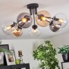 Gastor Taklampa, kullampa Amber, Klart, Rökfärger, 7-ljuskällor