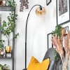 Ripoll Golvlampa Svart, 1-ljuskällor