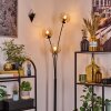 Ripoll kullampa, Golvlampa Amber, Klart, 3-ljuskällor