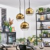 Ripoll Pendellampa, kullampa, Pendellampa Cluster Guld, Klart, 3-ljuskällor